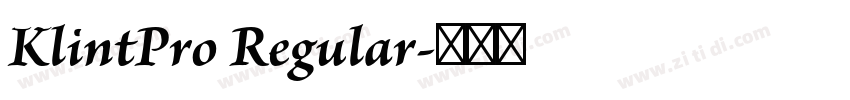 KlintPro Regular字体转换